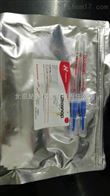 Hygiena Ultrasnap ATP拭子US2020