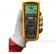 Fluke 1508 绝缘电阻测试仪