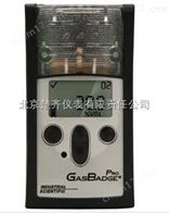 英思科GB Ex单一可燃气检测仪